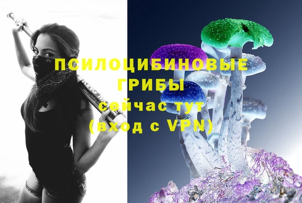 гидропоника Новодвинск