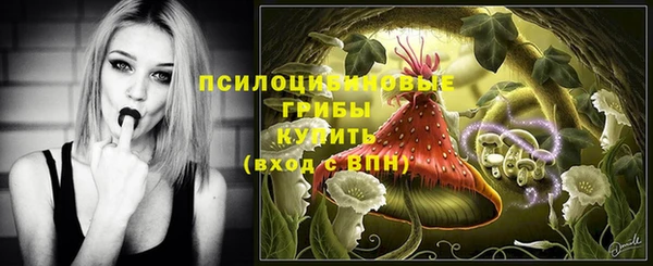 гидропоника Новодвинск