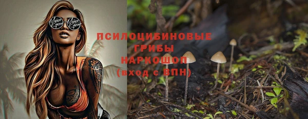 гидропоника Новодвинск