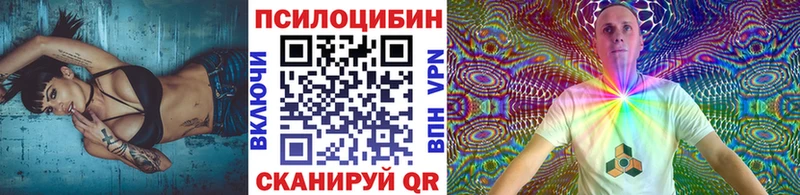 Псилоцибиновые грибы Psilocybine cubensis  Купить закладки  Юрюзань 